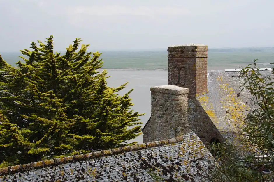 Chimney Maintenance