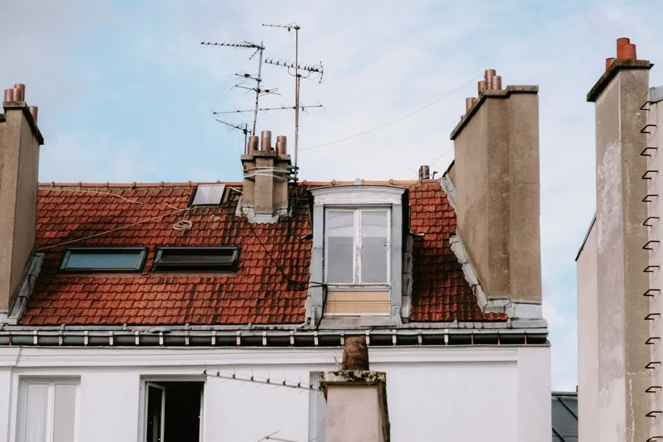 Chimney Maintenance