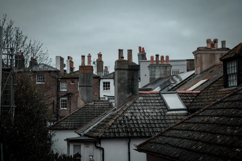 Blend Zenith — Chimney repair you can rely on
